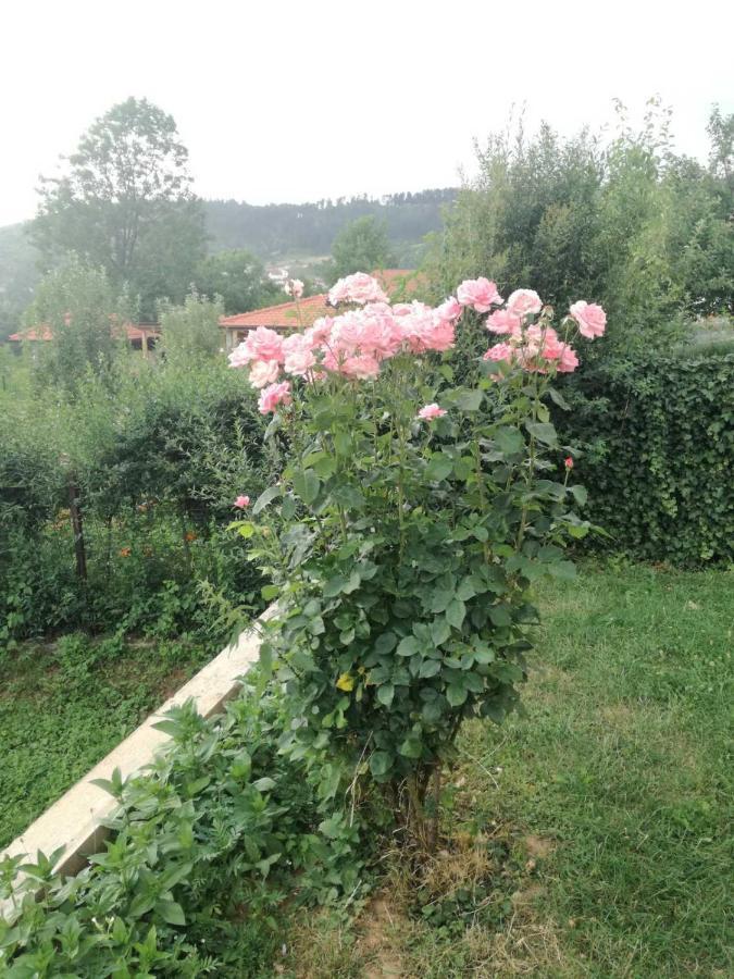Apartament Fiar Sarajewo Zewnętrze zdjęcie